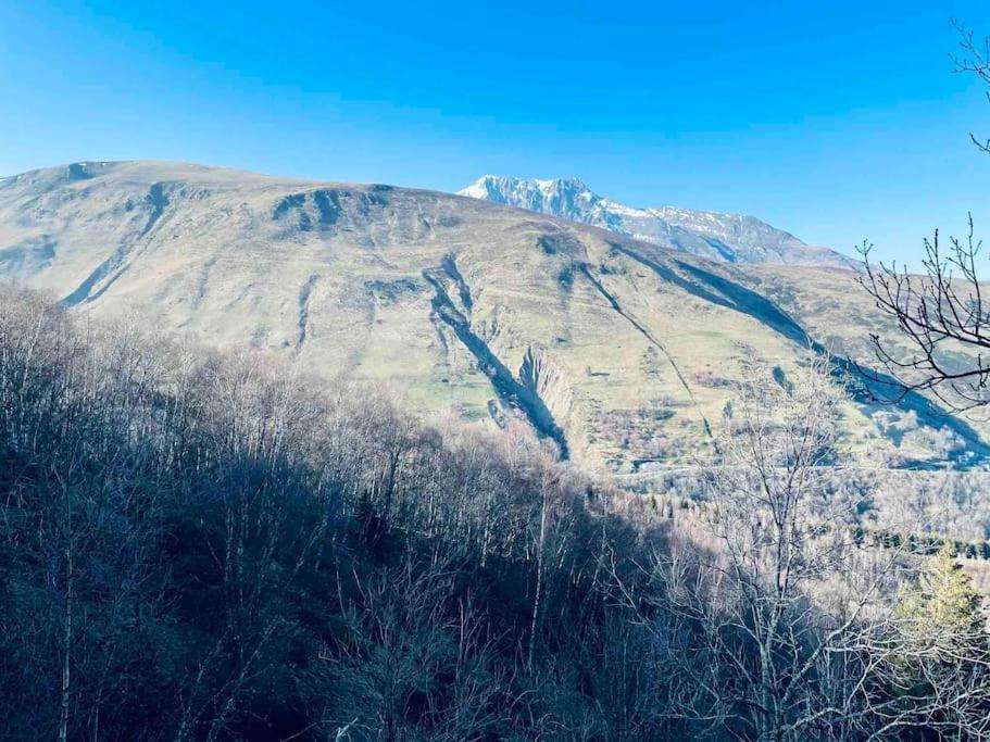 Chalet Au Pla D'Adet 圣拉里苏朗 外观 照片